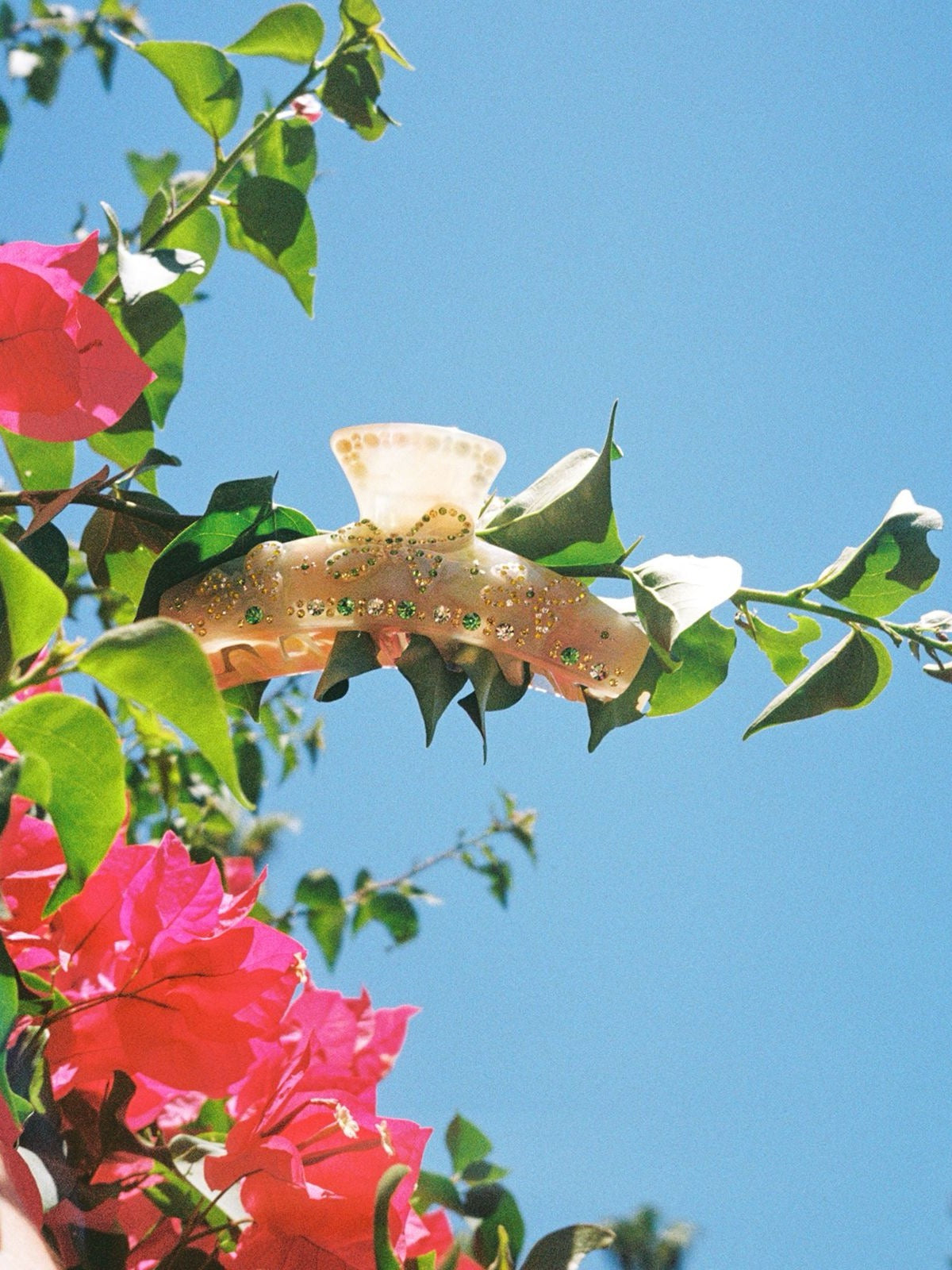 Bella Crystal Claw Clip